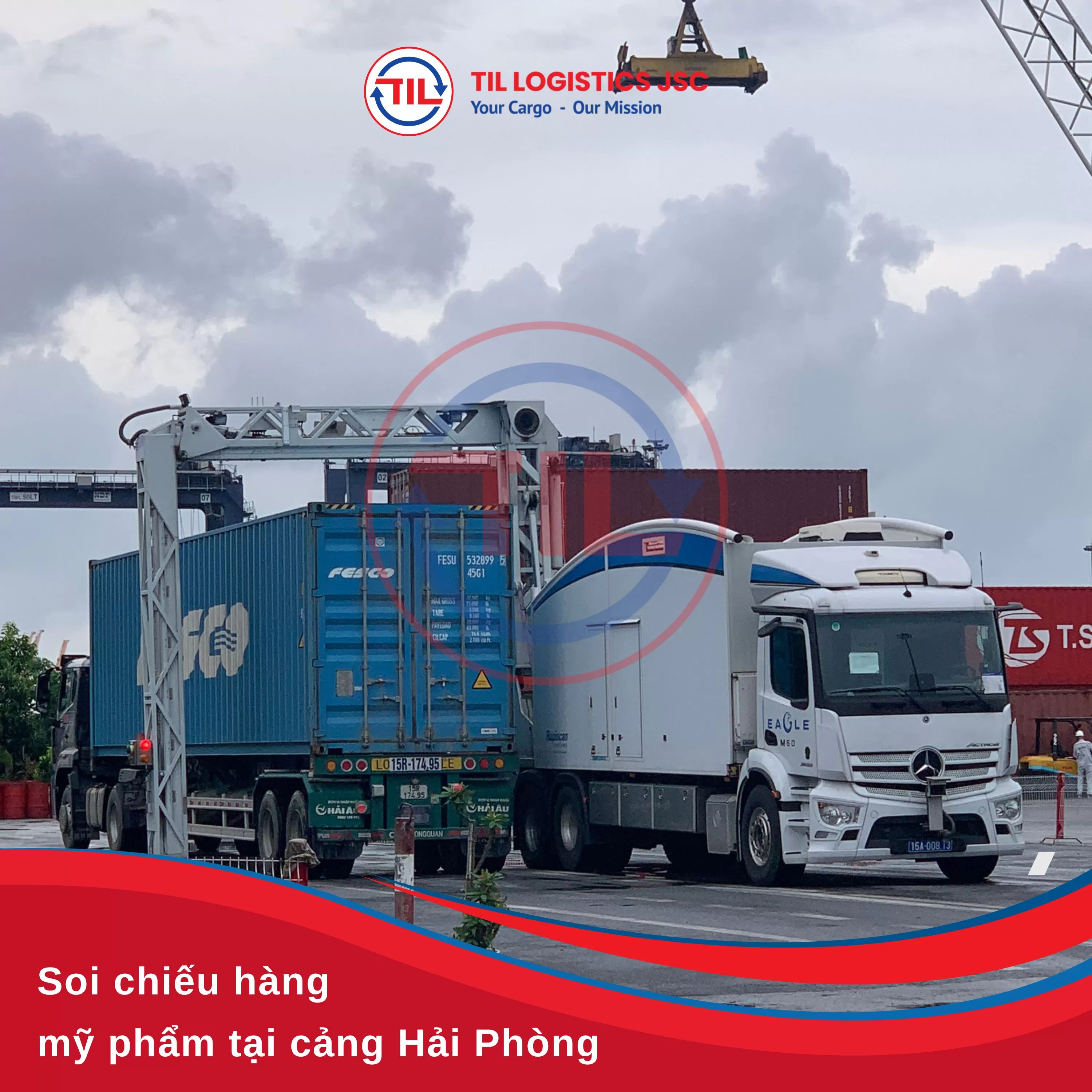 TỔNG HỢP HOẠT ĐỘNG TRONG TUẦN